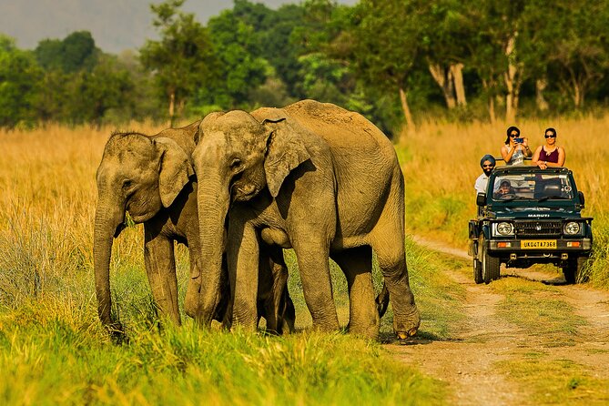Thrilling Jeep Safari in Jim Corbett National Park from Ramnagar