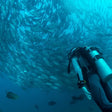 Scuba Diving In Gokarna