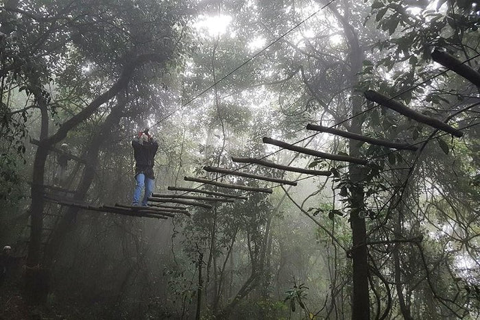 Wobbling Bridge