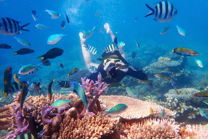 Scuba Diving in Pondicherry with Free Videography