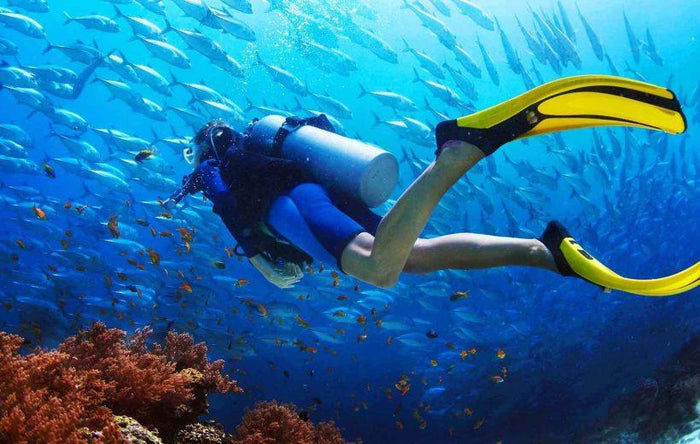 Shore Scuba Diving at Neil Island, Andaman