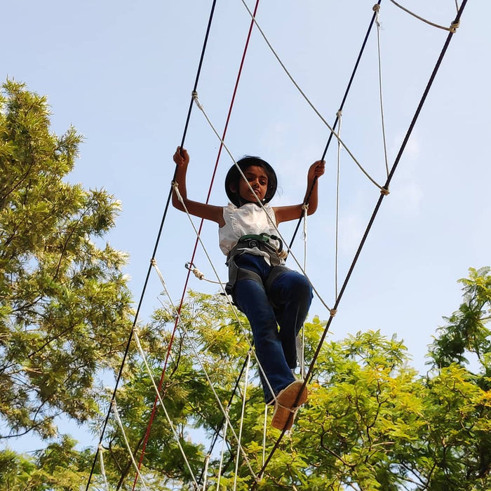 Tea Top Adventure & Ape Climbing Experience in Himachal