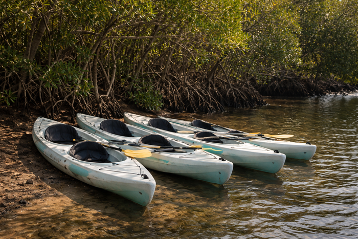 7761720311894-environmental_detail-rect