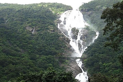 Curated Private Adventures in the Jungle near Goa