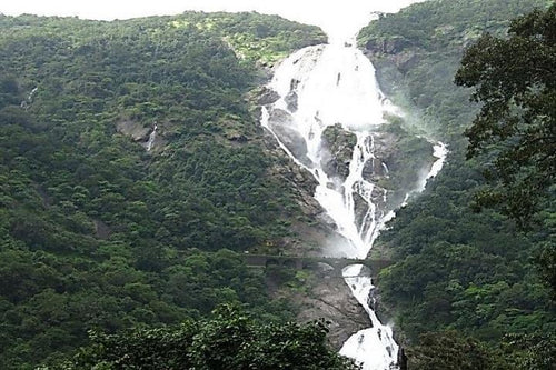 Curated Private Adventures in the Jungle near Goa