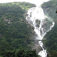Curated Private Adventures in the Jungle near Goa