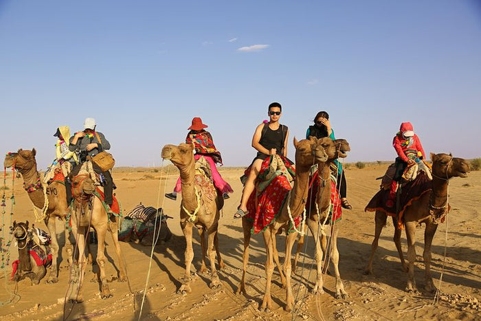 Desert Adventure Gift Box: Thrilling & Scenic Experiences Across Rajasthan’s Golden Sands