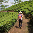 Soft Trek at Munnar