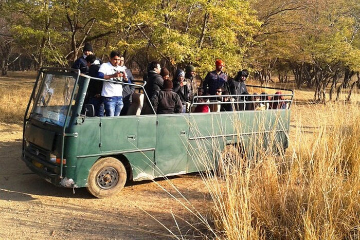 Ranthambore Canter Safari