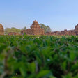 Curated Explore Ajanta Ellora Caves with Badami Hampi and Bijapur