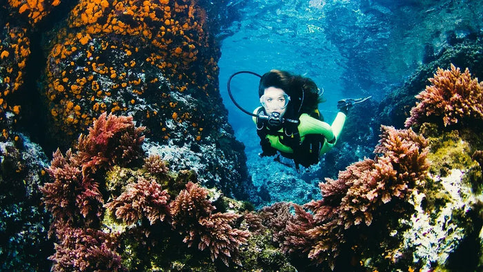 Scuba Diving In Gokarna