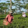Immersive 6D/5N Assam & Meghalaya