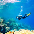 Thrilling Introductory Scuba Diving Experience in Kovalam