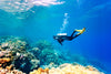 Thrilling Introductory Scuba Diving Experience in Kovalam