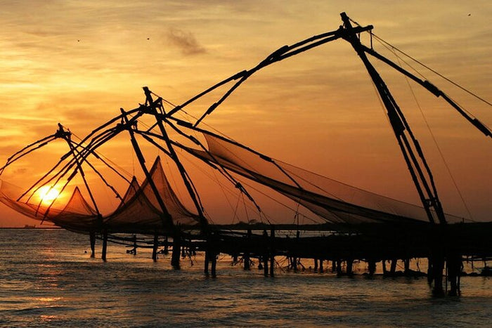 Curated Highlights of Cochin - Group Shore Excursion from Pier