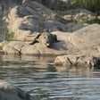 Premium Private 5-Hour Safari from Khajuraho to Raneh Falls Canyon