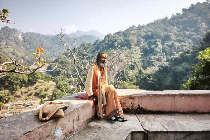 The Sadhus ( Priest of the temple )