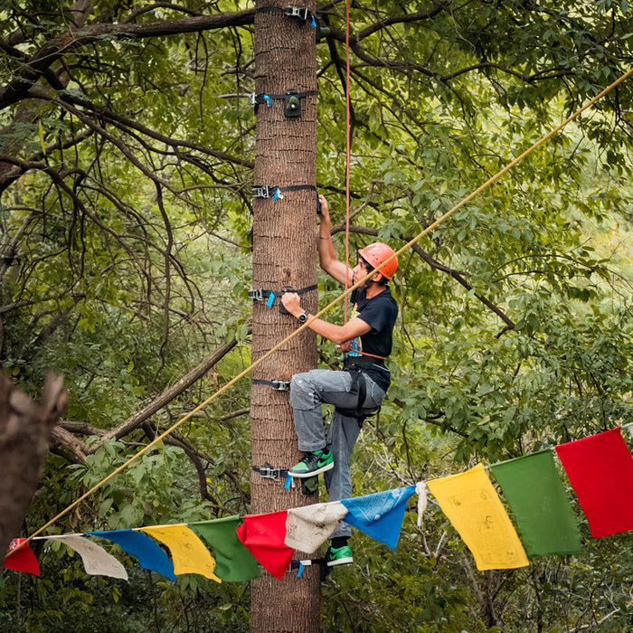 Tea Top Adventure & Ape Climbing Experience in Himachal