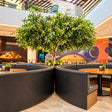 CHA Hong Kong Eating House - Premium Cantonese Dining Experience for Two at 5 Locations Across India