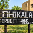 Captivating 16-Seater Shared Canter Safari in Dhikala Zone of Jim Corbett National Park