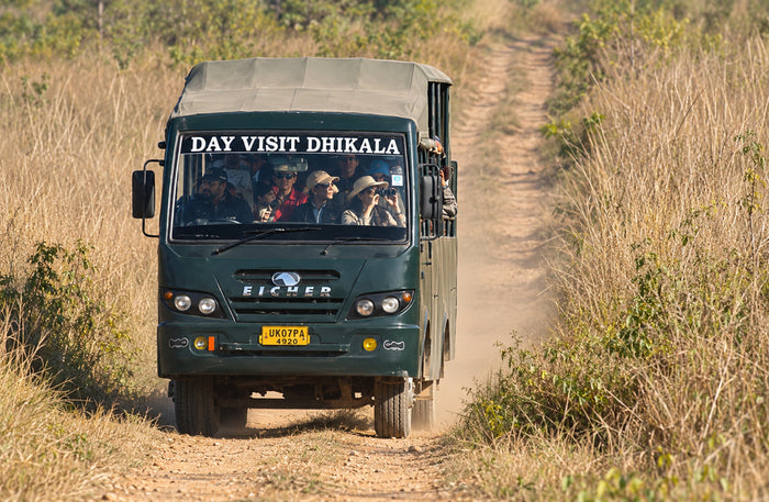 Captivating 16-Seater Shared Canter Safari in Dhikala Zone of Jim Corbett National Park