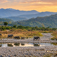 Captivating 16-Seater Shared Canter Safari in Dhikala Zone of Jim Corbett National Park