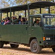 Captivating 16-Seater Shared Canter Safari in Dhikala Zone of Jim Corbett National Park