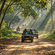 Captivating Private Jeep Safari in Jim Corbett's National Park Zones or Eco Tourism Zones