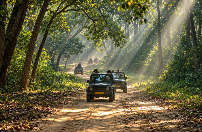 Captivating Private Jeep Safari in Jim Corbett's National Park Zones or Eco Tourism Zones