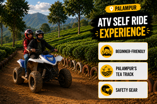 Beginner-Friendly Phoenix 200 ATV Driving Experience on Palampur's Tea Track