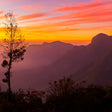 Sunrise Trek at Munnar for One
