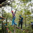 Palampur Adventure and Heritage Experience with Tea Garden Tour