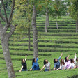 Palampur Adventure and Heritage Experience with Tea Garden Tour