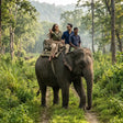 Elephant Safari Experience for One in Gorumara National Park