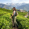 Palampur Adventure and Heritage Experience with Tea Garden Tour