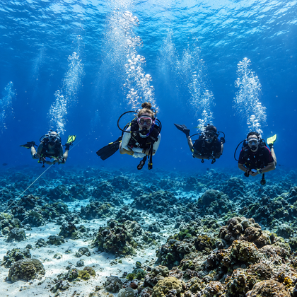 Majestic 20-Minute Shore or Discover Scuba Diving Adventure in Kochi, Kerala