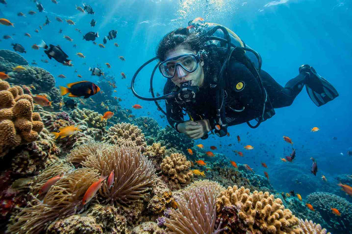 Thrilling Introductory Scuba Diving Experience in Kovalam