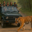 Thrilling Jeep Safari in Jim Corbett National Park from Ramnagar