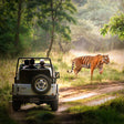 Evening Leopard Safari Experience in Jawai Leopard Conservation Area for One