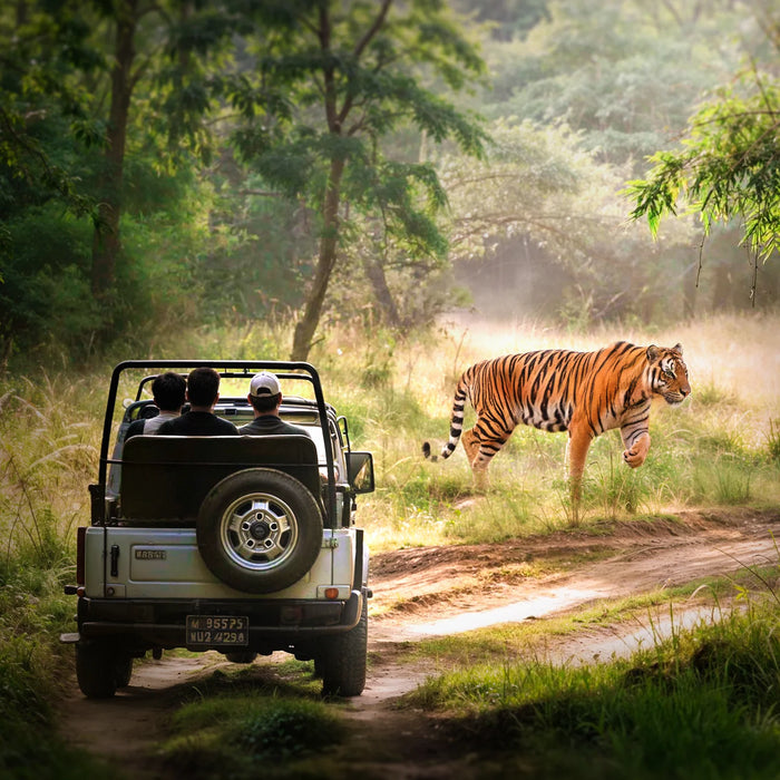 Wildlife Safari Experience for Six in Sariska National Park
