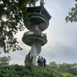 Jungle Watch Tower Safari Experience for One in Gorumara National Park, Jalpaiguri