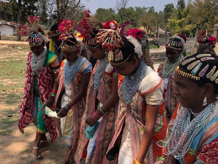 Immersive Baiga Village Cultural Visit in Kanha