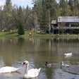 Tranquil Angling Experience at The Riverwood Forest Retreat, Dooars