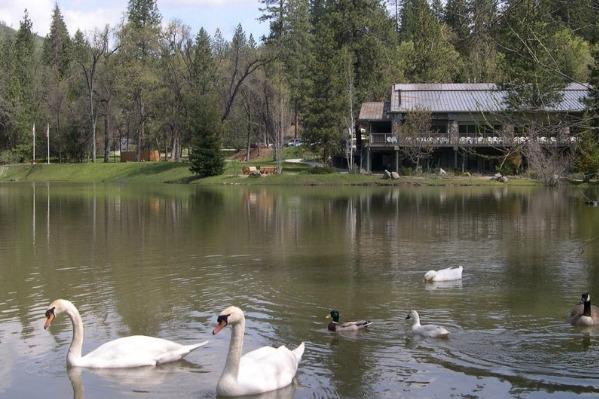 Tranquil Angling Experience at The Riverwood Forest Retreat, Dooars
