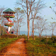 Jungle Watch Tower Safari Experience for One in Gorumara National Park, Jalpaiguri