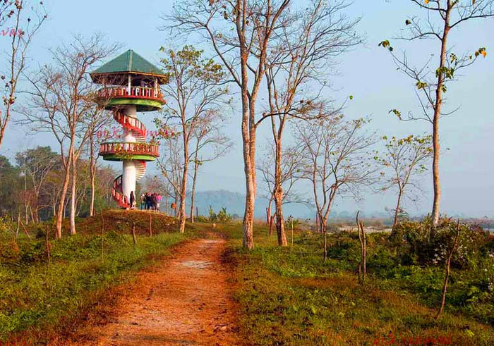 Jungle Watch Tower Safari Experience for One in Gorumara National Park, Jalpaiguri