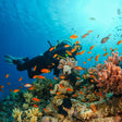 Thrilling Grand Island Scuba Diving and Watersports Combo in Goa
