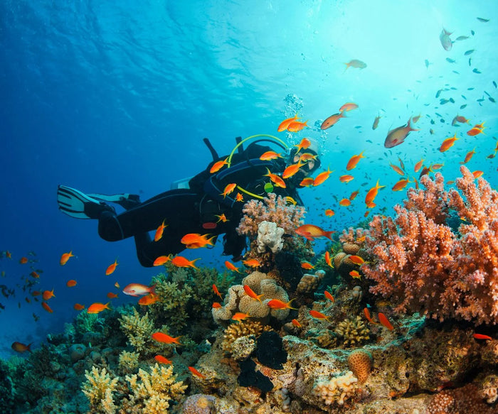 Thrilling Grand Island Scuba Diving and Watersports Combo in Goa