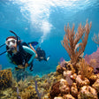 Thrilling PADI Scuba Diver Certification Course in Kovalam
