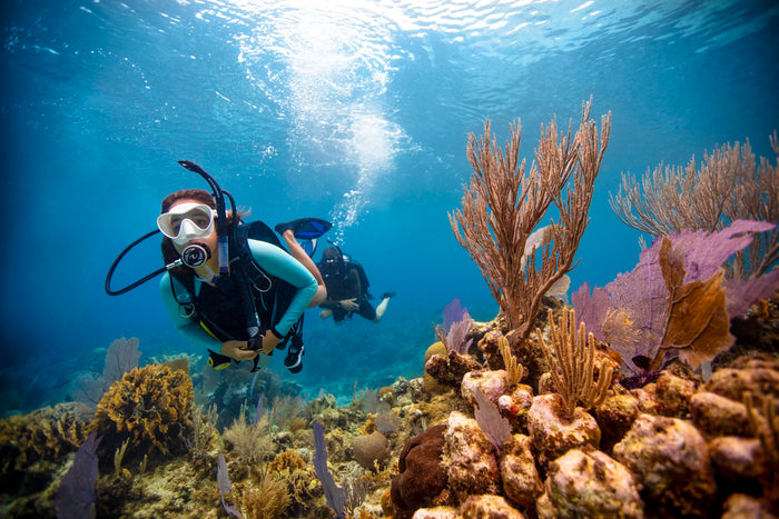 Thrilling PADI Scuba Diver Certification Course in Kovalam